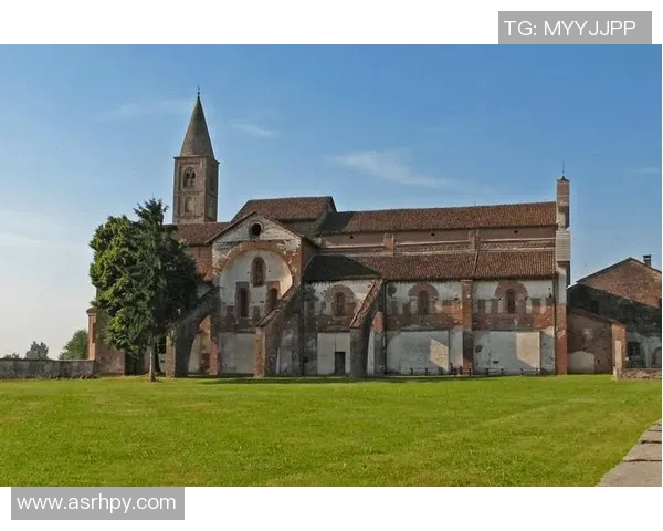 探索埃斯特旺的魅力与独特文化，揭示其在现代社会中的重要地位与影响力